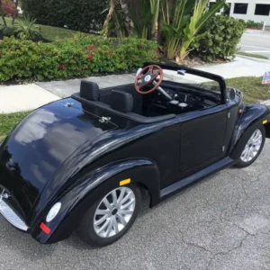 Golf Cart for Sale Cheap 2 Seats