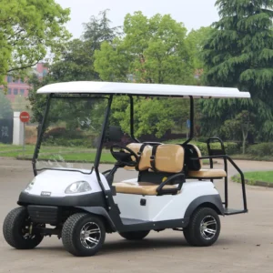 cheap mini electric golf cart 2 4 6 8 10 seaters